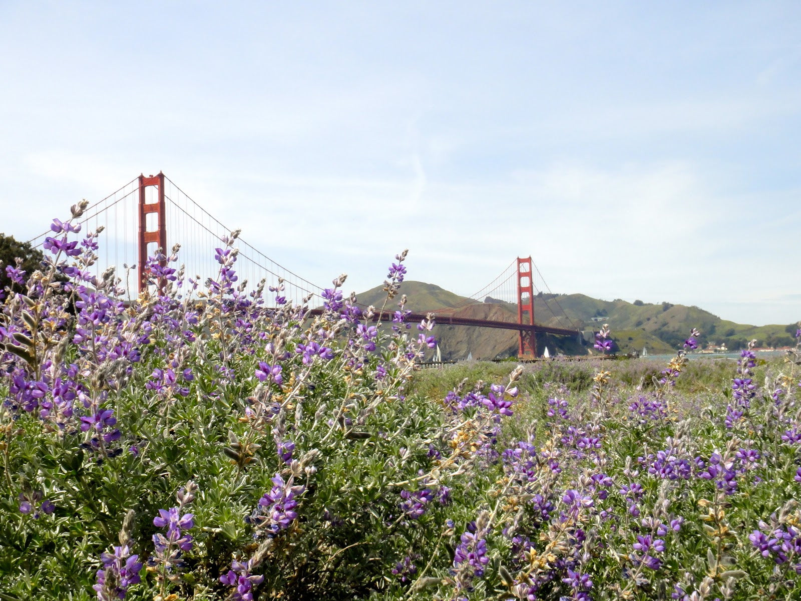 Spring Jams - Part 1