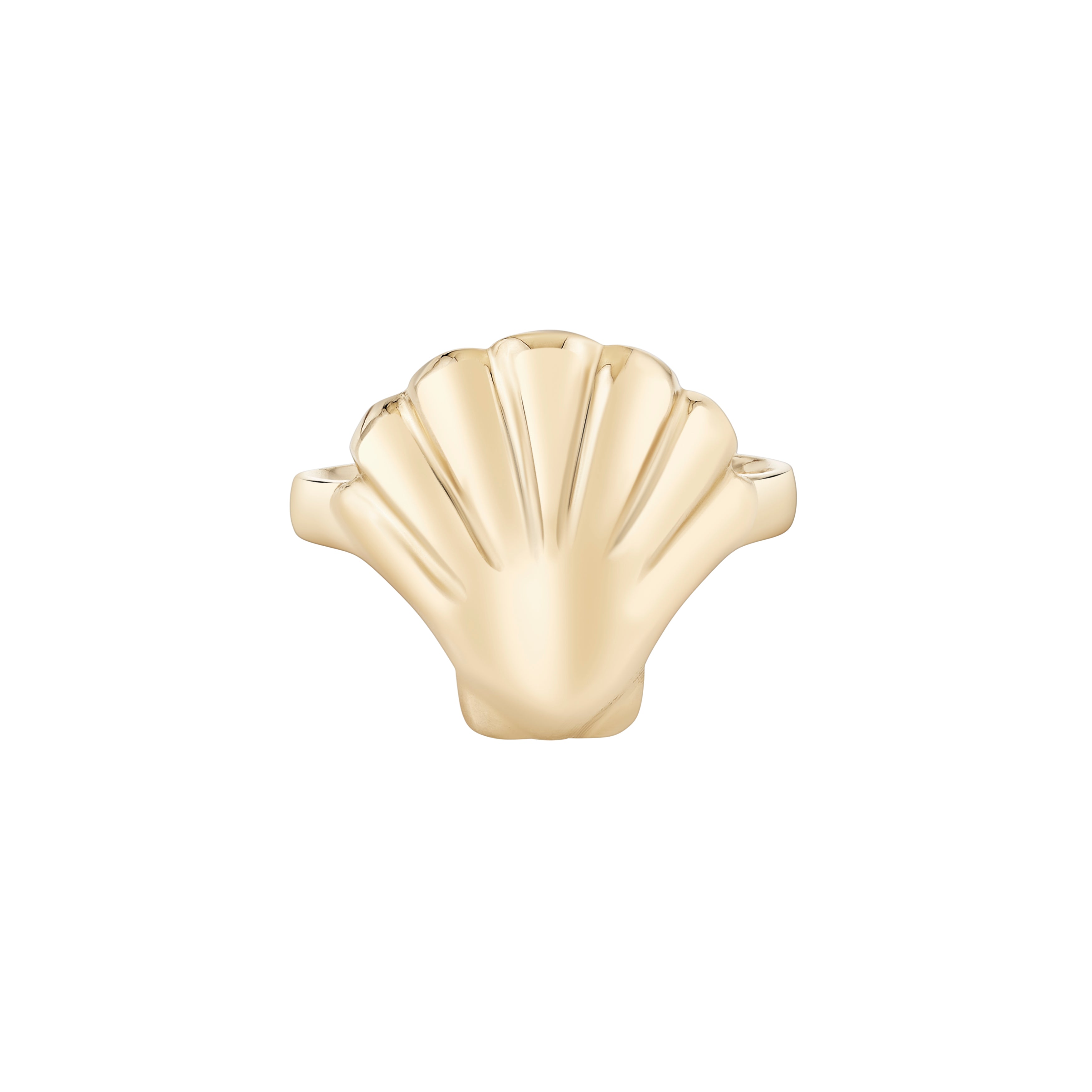 Scallop Shell Ring