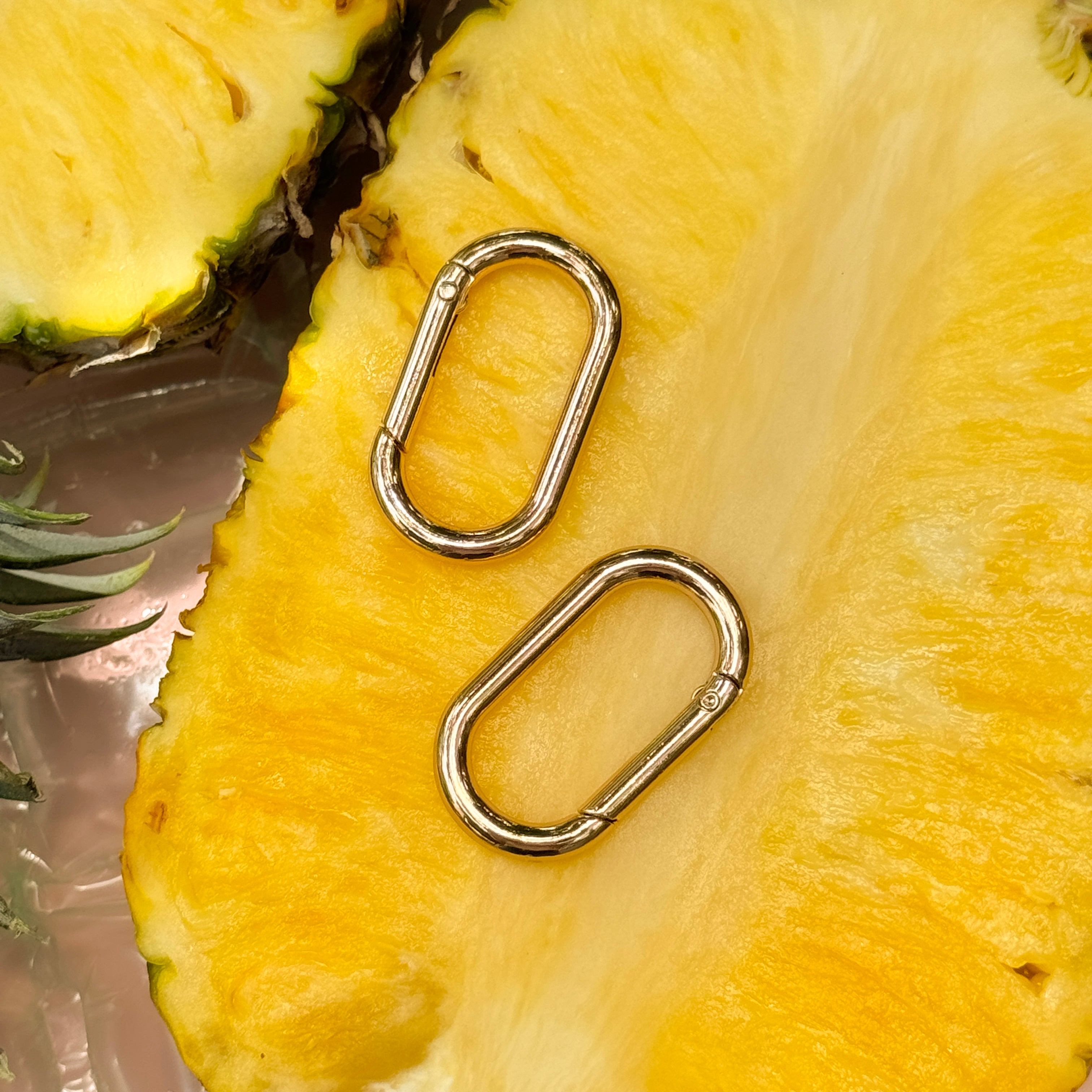 AGJ x HonestlyWTF: Purse Carabiner 2 pack