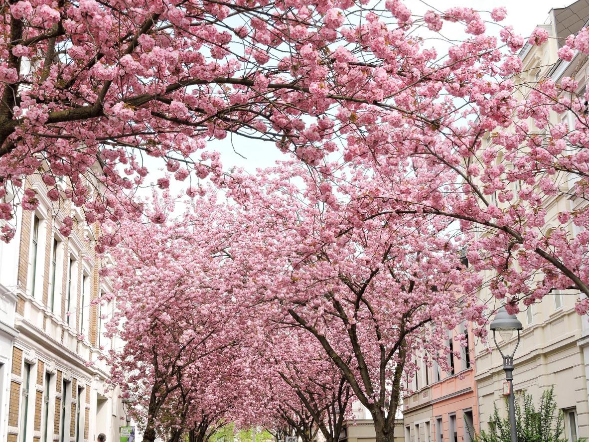 Spring Jams - Part 2