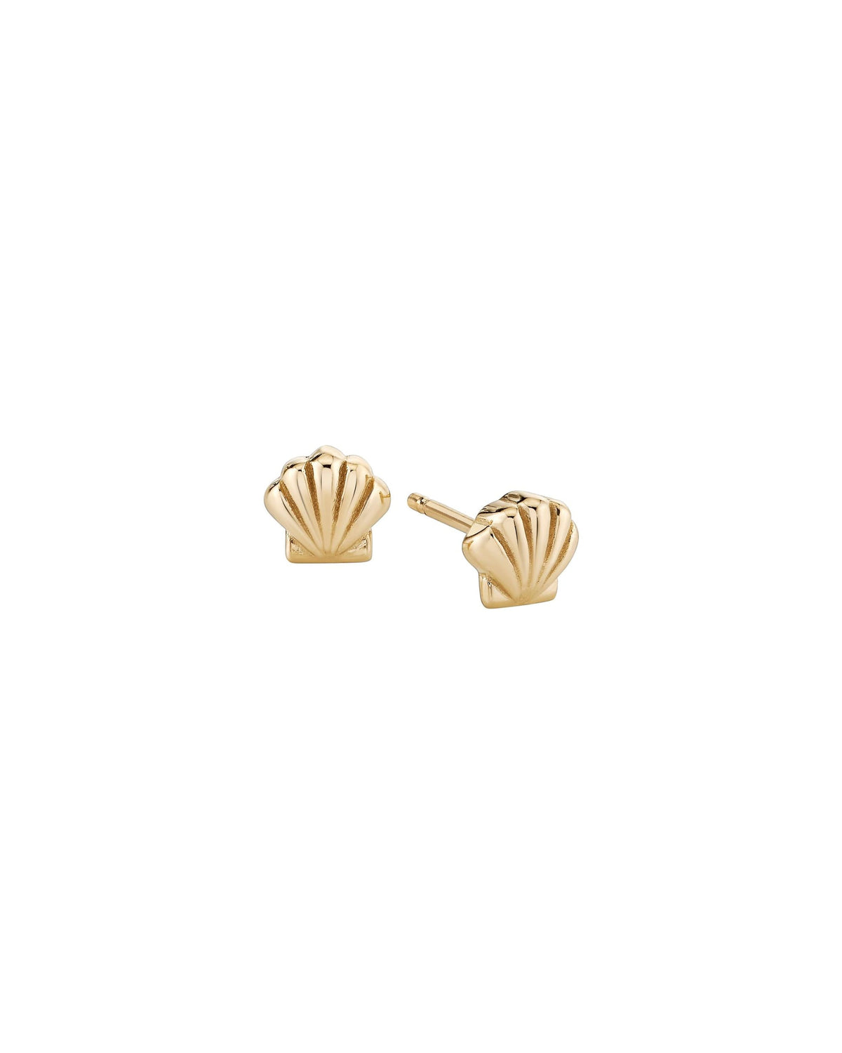 Petite Scallop Shell Studs, product photo