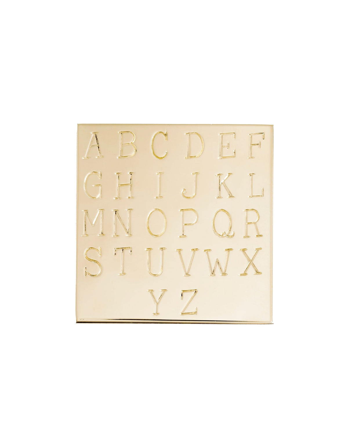 Medallion Signet Necklace, product photo