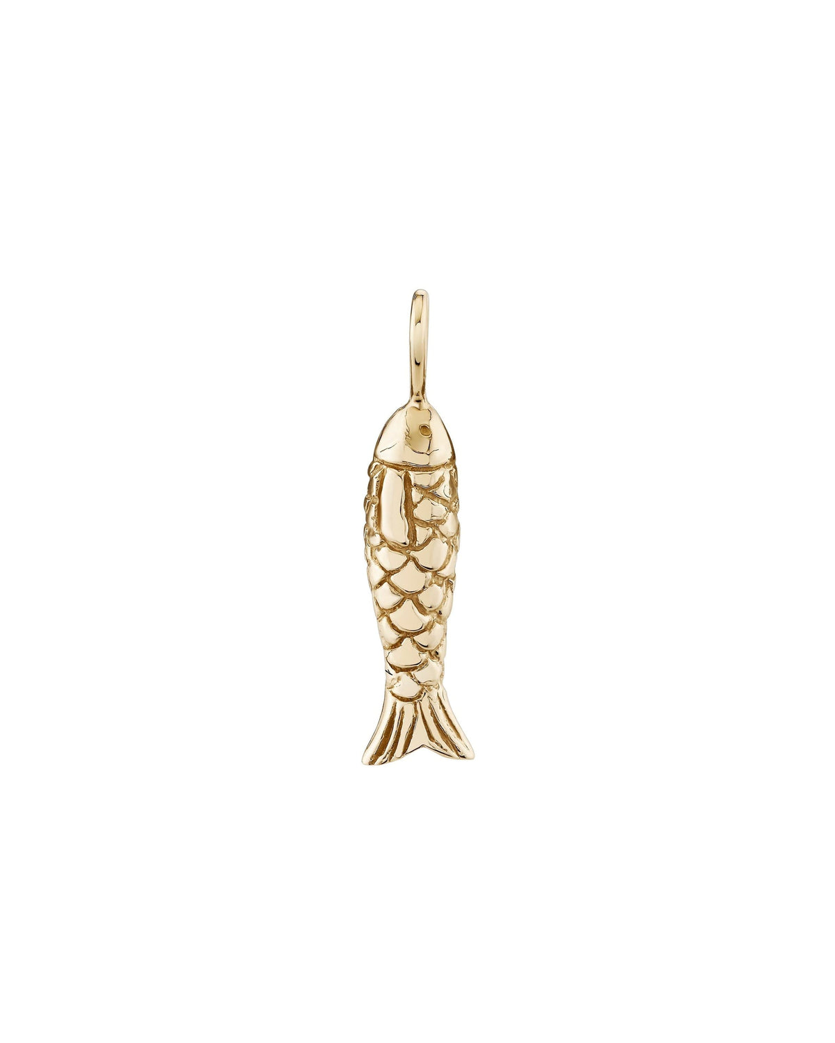 Poisson Pendant, product photo