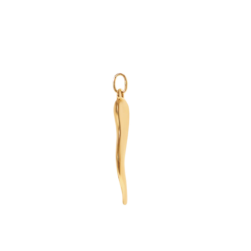 Cornicello Italian Horn -- Ariel Gordon Jewelry