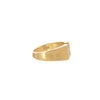 Pave N Ring - Pave N Ring -- Ariel Gordon Jewelry