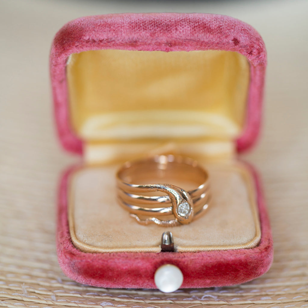 Rose Gold Snake Ring -- Ariel Gordon Jewelry
