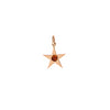 Garnet and Gold Star Charm - Garnet and Gold Star Charm -- Ariel Gordon Jewelry