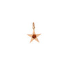 Garnet and Gold Star Charm - Garnet and Gold Star Charm -- Ariel Gordon Jewelry
