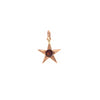 Garnet and Gold Star Charm - Garnet and Gold Star Charm -- Ariel Gordon Jewelry