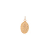 Virgin Mary Charm - Virgin Mary Charm -- Ariel Gordon Jewelry