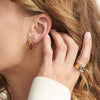 Noble Signet Ring - Noble Signet Ring -- Ariel Gordon Jewelry