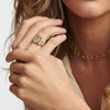 Strata Signet Ring - Strata Signet Ring -- Ariel Gordon Jewelry