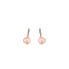 Mini Gold Dust Studs - Rose Gold - Mini Gold Dust Studs - Rose Gold -- Ariel Gordon Jewelry