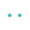 Star Enamel Studs - Star Enamel Studs -- Ariel Gordon Jewelry