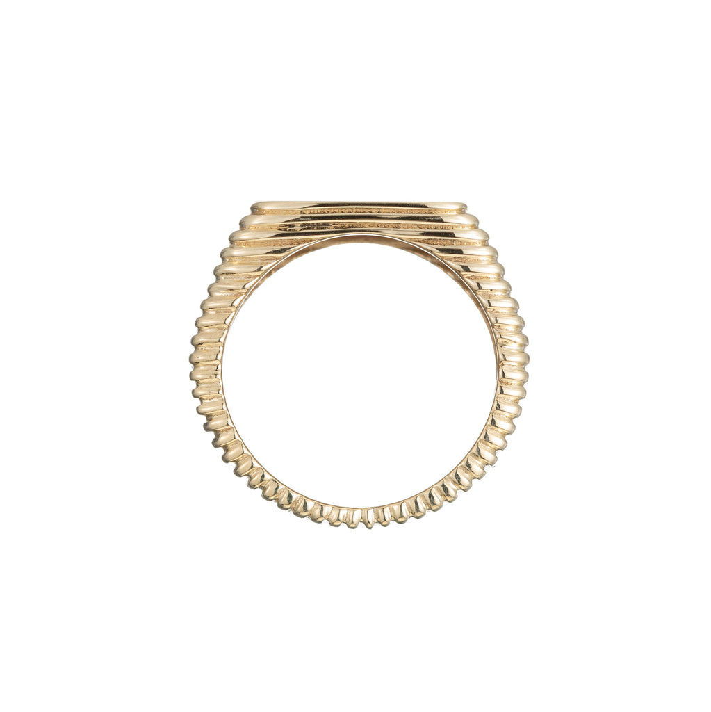 Strata Signet Ring -- Ariel Gordon Jewelry