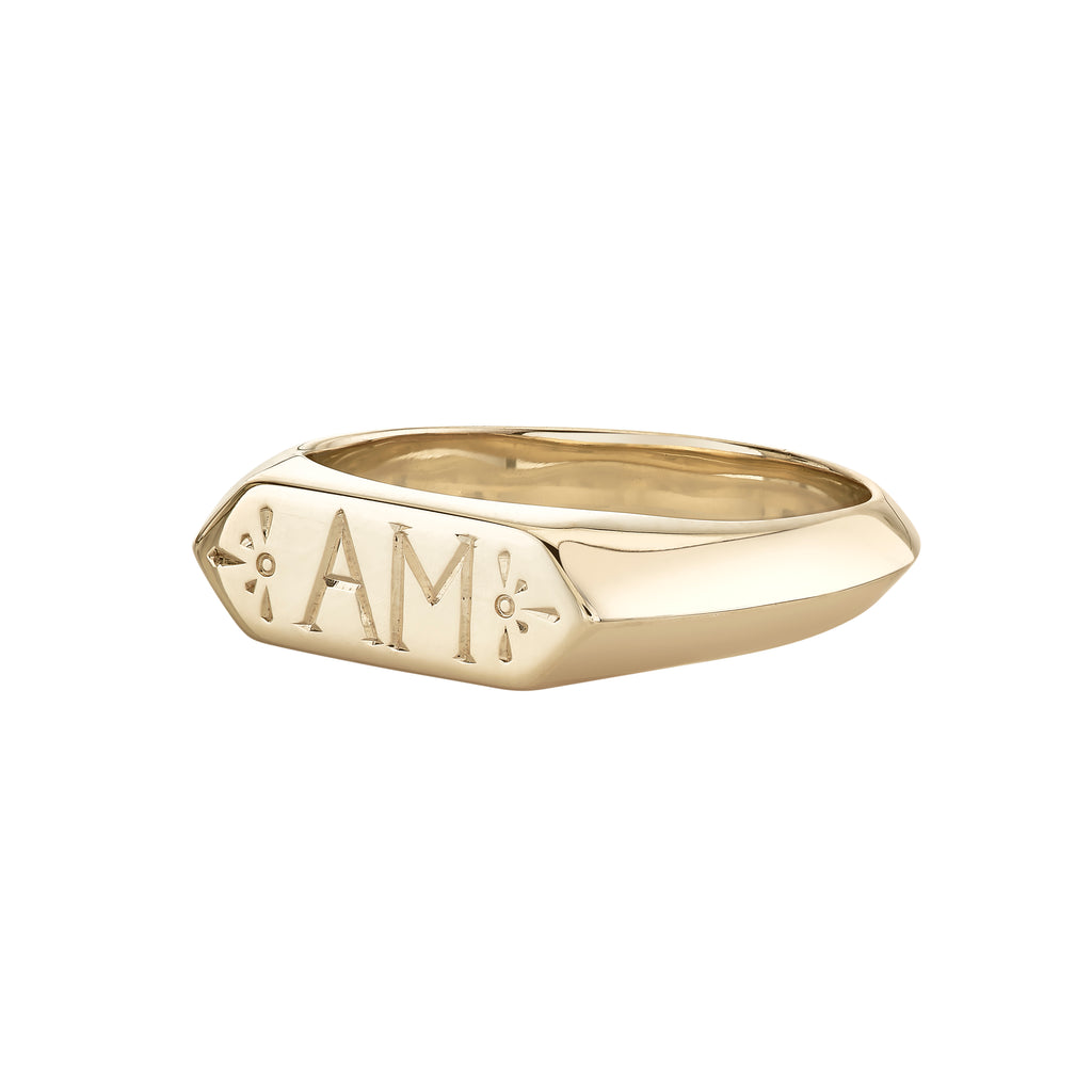 Lateral Signet Ring -- Ariel Gordon Jewelry